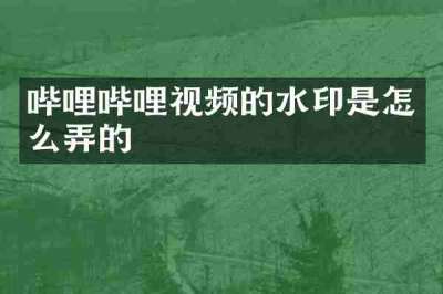 哔哩哔哩视频的水印是怎么弄的