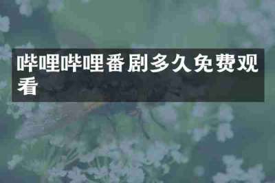 哔哩哔哩番剧多久免费观看