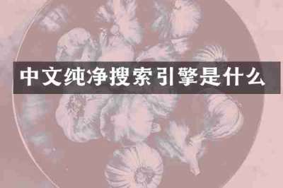 中文纯净搜索引擎是什么