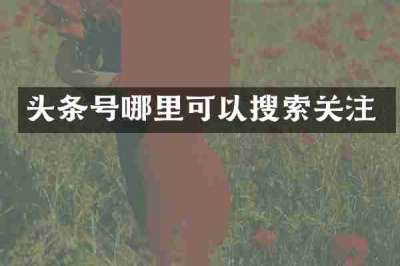 头条号哪里可以搜索关注