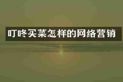 叮咚买菜怎样的网络营销