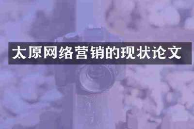 太原网络营销的现状论文
