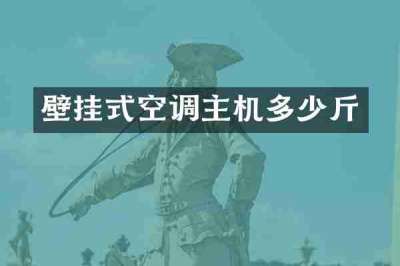 壁挂式空调主机多少斤