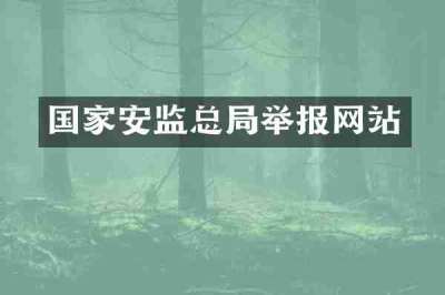 国家安监总局举报网站