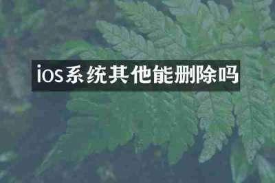 ios系统其他能删除吗