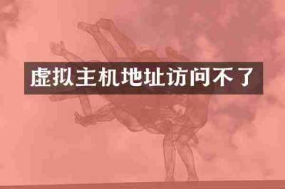 虚拟主机地址访问不了