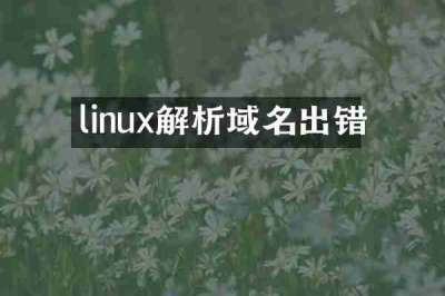 linux解析域名出错