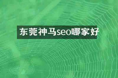 东莞神马seo哪家好