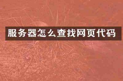 服务器怎么查找网页代码