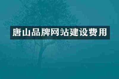 唐山品牌网站建设费用