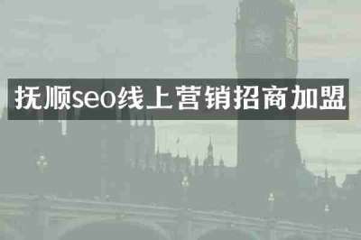 抚顺seo线上营销招商加盟