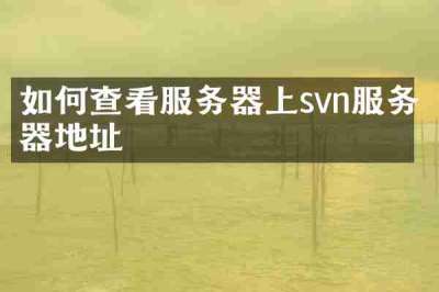 如何查看服务器上svn服务器地址
