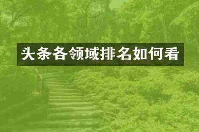 头条各领域排名如何看