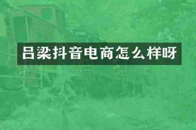 吕梁抖音电商怎么样呀