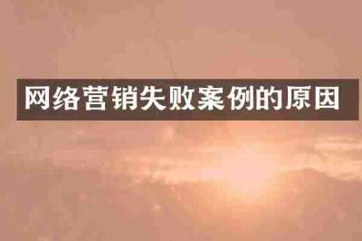 网络营销失败案例的原因