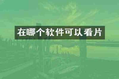 在哪个软件可以看片