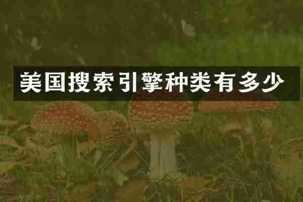 美国搜索引擎种类有多少