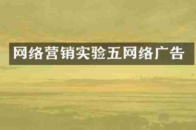 网络营销实验五网络广告