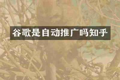 谷歌是自动推广吗知乎