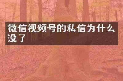 微信视频号的私信为什么没了
