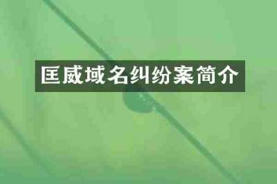 匡威域名纠纷案简介