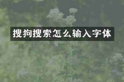 搜狗搜索怎么输入字体