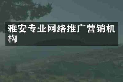 雅安专业网络推广营销机构