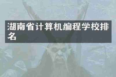 湖南省计算机编程学校排名
