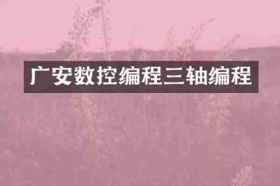 广安数控编程三轴编程