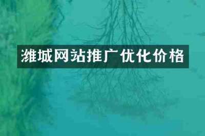 潍城网站推广优化价格