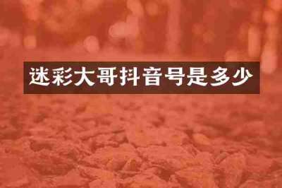 迷彩大哥抖音号是多少