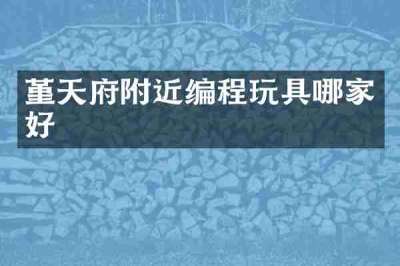 堇天府附近编程玩具哪家好