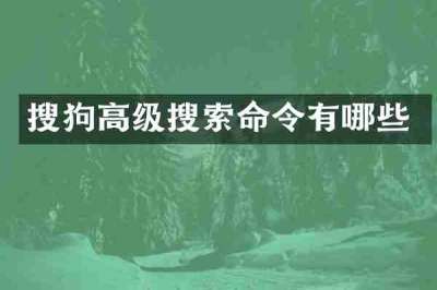 搜狗高级搜索命令有哪些