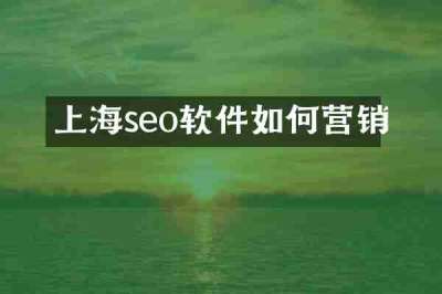上海seo软件如何营销