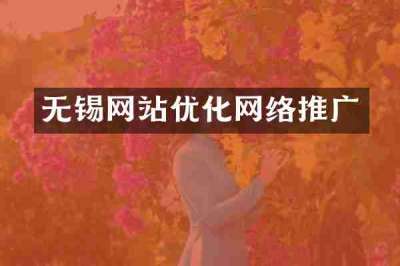 无锡网站优化网络推广