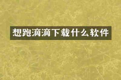 想跑滴滴下载什么软件