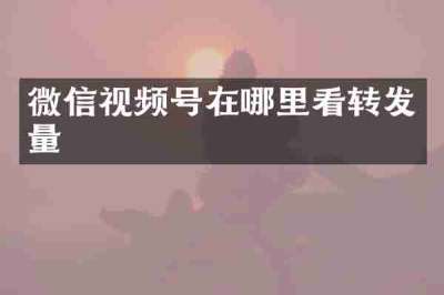 微信视频号在哪里看转发量
