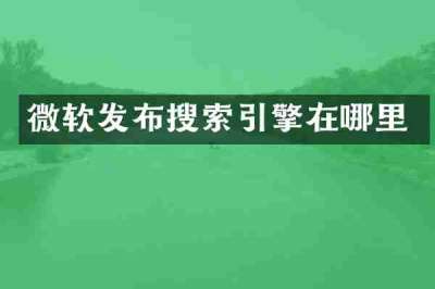 微软发布搜索引擎在哪里