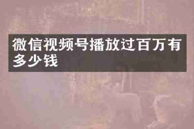 微信视频号播放过百万有多少钱