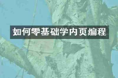 如何零基础学内页编程