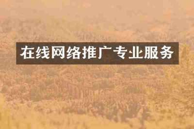 在线网络推广专业服务