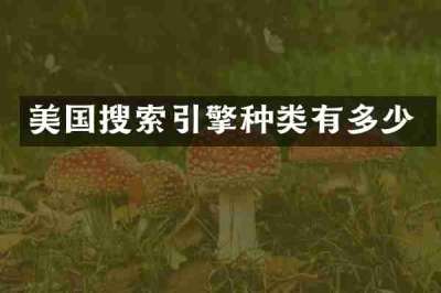 美国搜索引擎种类有多少