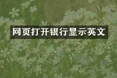 网页打开银行显示英文