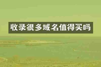收录很多域名值得买吗