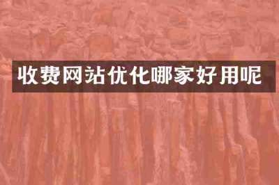 收费网站优化哪家好用呢