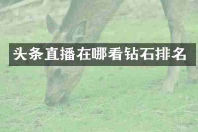 头条直播在哪看钻石排名