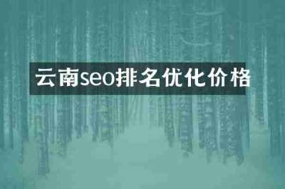 云南seo排名优化价格