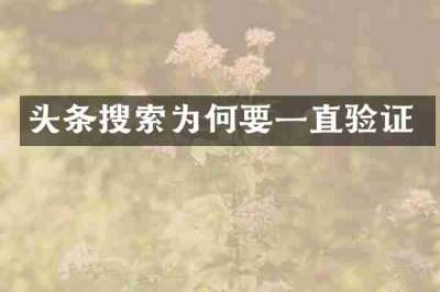头条搜索为何要一直验证