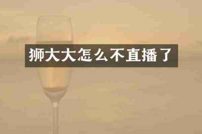 狮大大怎么不直播了