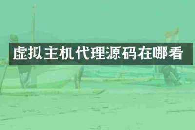 虚拟主机代理源码在哪看
